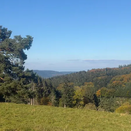 Le Repere Des Generations-15 Pers-sauna-piscine-spa- Terrain Boulles Chalet Champdray