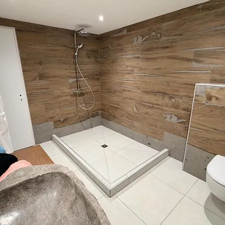 Chalet Le Repere Des Generations-15 Pers-sauna-piscine-spa- Terrain Boulles Champdray