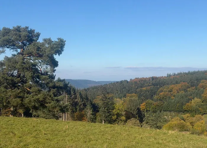 Le Repere Des Generations-15 Pers-sauna-piscine-spa- Terrain Boulles Chalet Champdray